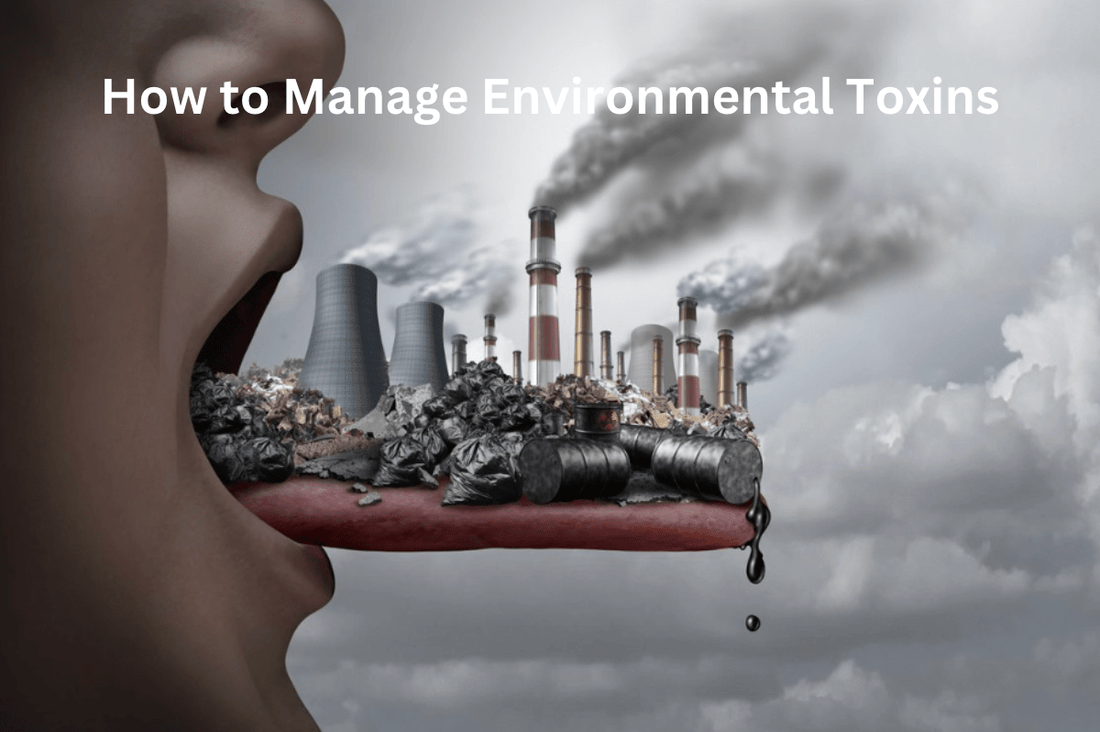 How to Manage Environmental Toxins - Living Prana