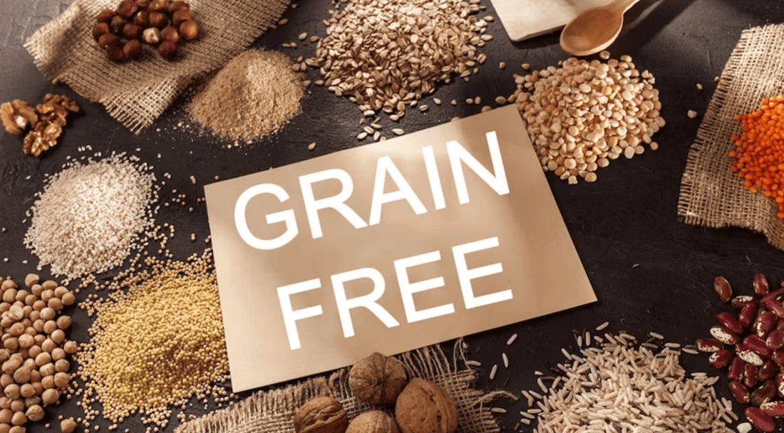 Why You Should Consider A Grain-Free Diet - Living Prana