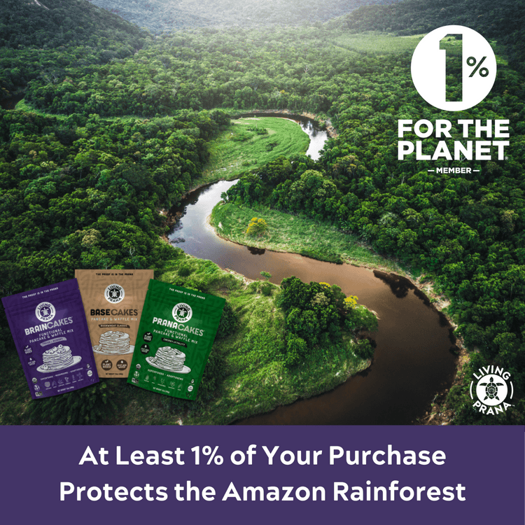 Functional Pancake Waffle Mix Bundle 4pk - Living Prana