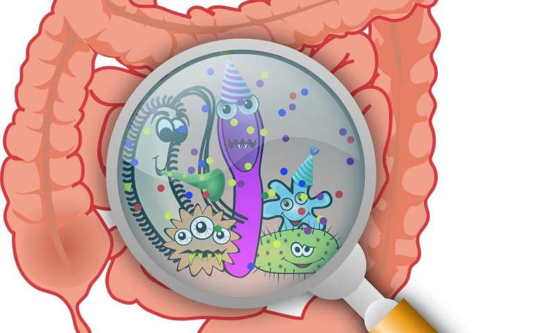 A Healthy Gut Biome – It’s What’s Inside That Counts! - Living Prana