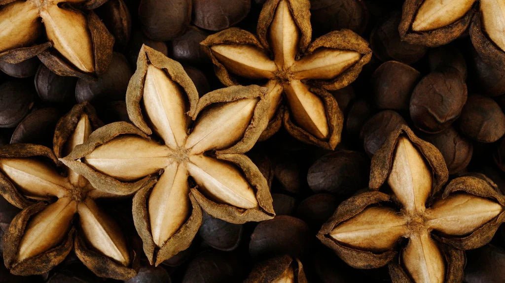 Sacha Inchi: Plant-based Protein that Supports Our Planet - Living Prana
