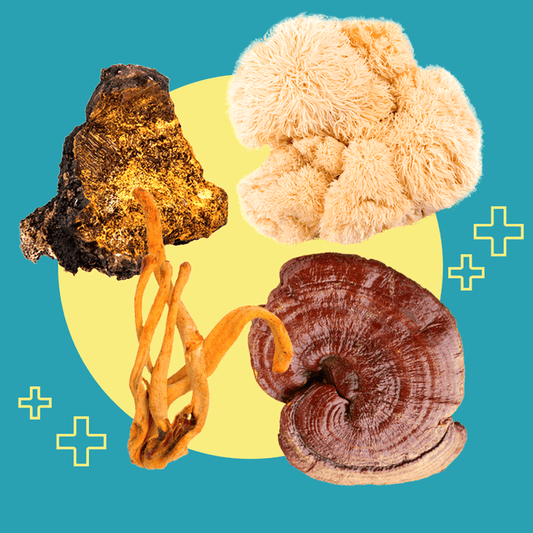 The Magical World of Mushrooms - Living Prana